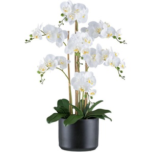 Kunstorchidee Orchidee Phalaenopsis, Creativ green, Höhe 77 cm, mit Keramiktopf in matter Farbgebung