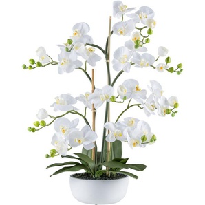 Kunstorchidee Orchidee Phalaenopsis, Creativ green, Höhe 85 cm, mit zahlreichen real-touch-Blüten