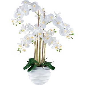 Kunstorchidee Orchidee Phalaenopsis, Creativ green, Höhe 90 cm, im Design-Topf