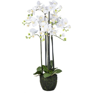 Kunstorchidee Orchidee Phalaenopsis, Creativ green, Höhe 93 cm, im Erdballen und mit real-touch-Blüten