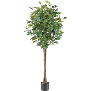 Kunstpflanze Ficus benjamina, Creativ green, Höhe 125 cm, in Hochstamm-Form