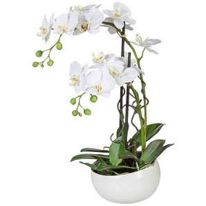 Kunstpflanze Orchidee Orchidee, Creativ green, Höhe 55 cm