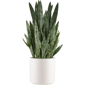 Kunstpflanze Sanseveria zeylanica Sukkulente, Creativ green, Höhe 108 cm, im eleganten cremefarbenen Topf