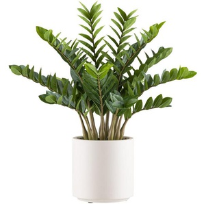 Kunstpflanze Zamifolia Grünpflanze, Creativ green, Höhe 85 cm, im eleganten cremefarbenen Topf