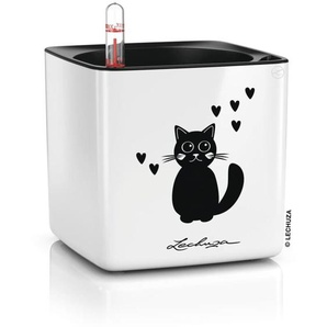 Blumentopf cube Glossy cat 14 all-in-one Hochglanz-Weiß Lechuza