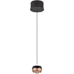 LED-Pendelleuchte Orbit, schwarz/coffee, 1-flammig, 15,5 cm, inkl. Dimmfunktion