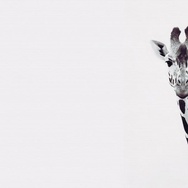 Banner-0