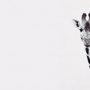 living walls Fototapete ARTist Giraffe Potrait, (Set, 4 St), Vlies, Wand, Schräge