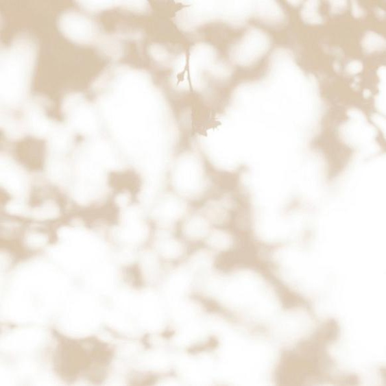 Banner-0