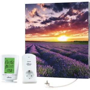 MARMONY Infrarotheizung Motiv Lavendel Heizkörper BxHxT: 50x60x2 cm, mit Fernbedienung und Timer Gr. B/H/T: 50 cm x 60 cm x 2 cm, 500 W, mittig, bunt Heizkörper