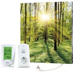 MARMONY Infrarotheizung Motiv Wald Heizkörper BxHxT: 50x60x2 cm, mit Fernbedienung und Timer Gr. B/H/T: 50 cm x 60 cm x 2 cm, 500 W, mittig, bunt Heizkörper