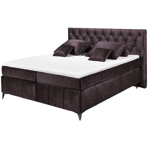 Boxspringbett Pembroke | lila/violett | 200 cm | 121 cm |