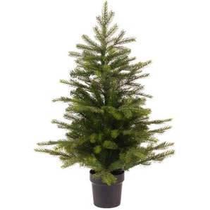 Mini Tannenbaum im Topf  90cm