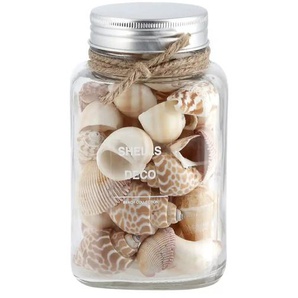 Muschelmix im Glas - beige - Naturfaser, Glas - 9 cm - 14,8 cm - 9 cm | Möbel Kraft