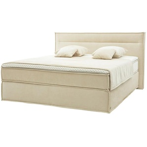 Musterring Boxspringbett  JustB! ¦ creme ¦ Maße (cm): B: 220 H: 115