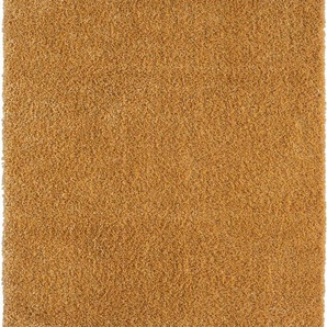 Myflair Möbel & Accessoires Hochflor-Teppich My Shaggy, rechteckig, Höhe: 37 mm, Shaggy, Uni-Farben, leicht glänzend, Microfaser, extra flauschig