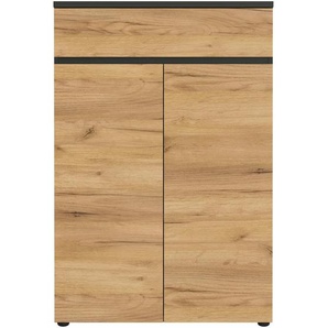 Novel Aktenschrank, Graphit, Eiche, Holzwerkstoff, 2 Fächer, 1 Schubladen, 80x120x40 cm, Made in Germany, Beimöbel erhältlich, griffloses Öffnen, Arbeitszimmer, Aktenschränke