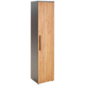 Novel Aktenschrank, Eiche, Graphit, Holzwerkstoff, 4 Fächer, 45x197x40 cm, Made in Germany, Beimöbel erhältlich, Typenauswahl, Arbeitszimmer, Aktenschränke