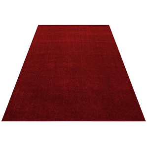 Novel Hochflorteppich ATA 7000, Rot, Textil, Uni, rechteckig, 120x170 cm, Oeko-Tex® Standard 100, für Fußbodenheizung geeignet, schmutzabweisend, Hausstauballergiker lichtunempfindlich, antistatisch, pflegeleicht, strapazierfähig, leicht zusammenrollbar,