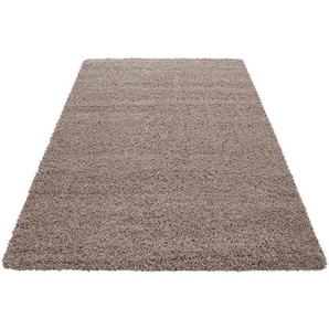 Novel Hochflorteppich Life 1500, Braun, Beige, Textil, Uni, rechteckig, 200x290 cm, Oeko-Tex® Standard 100, für Fußbodenheizung geeignet, schmutzabweisend, Hausstauballergiker lichtunempfindlich, antistatisch, pflegeleicht, strapazierfähig, leicht