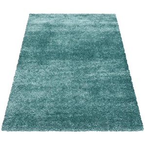 Novel Hochflorteppich Brilliant 4200 hellblau, Hellblau, Textil, Uni, rechteckig, 240x340 cm, Oeko-Tex® Standard 100, für Fußbodenheizung geeignet, schmutzabweisend, Hausstauballergiker lichtunempfindlich, antistatisch, pflegeleicht, strapazierfähig,