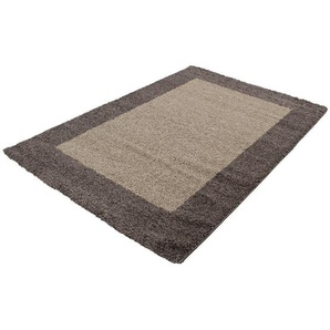 Novel Hochflorteppich Life 1503, Taupe, Textil, Bordüre, rechteckig, 200x290 cm, Oeko-Tex® Standard 100, für Fußbodenheizung geeignet, schmutzabweisend, Hausstauballergiker lichtunempfindlich, antistatisch, pflegeleicht, strapazierfähig, leicht