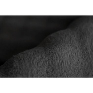 Banner-0