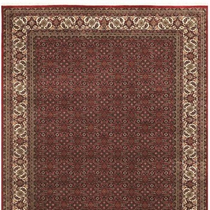 Orientteppich OCI DIE TEPPICHMARKE Kamaro Herati Teppiche Gr. B: 70cm, 20mm, L: 140cm, rot (rot/creme) Fransenteppich reine Wolle, warmes Raumklima, hochwertig handgeknüpft, mit Fransen