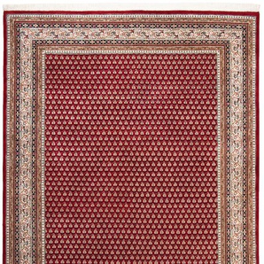 Orientteppich THEKO Abbas Meraj Mir Teppiche Gr. B: 70cm, 12mm, L: 140cm, rot (rot/creme) Fransenteppich reine Wolle, handgeknüpft, mit Fransen