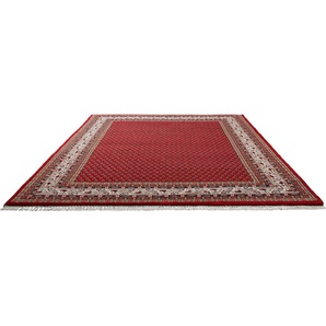 Orientteppich THEKO Chandi Mir Teppiche Gr. B: 170cm, 12mm, L: 240cm, rot (rot/creme) Fransenteppich reine Wolle, handgeknüpft, mit Fransen