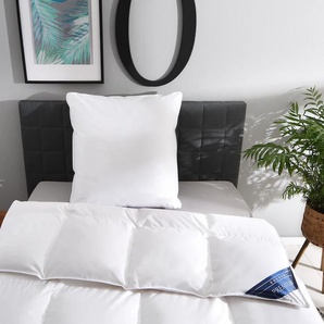 Rabatt -75% online Kopfkissen | & 24 Bettdecken Möbel kaufen bis