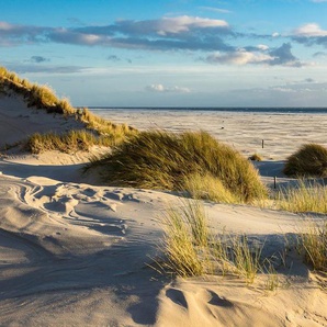 Papermoon Fototapete DÜNEN-AMRUM NORDSEE STRAND MEER INSEL HOLSTEIN GRAS XXL