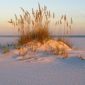 Papermoon Fototapete DÜNEN- MEER SEE KÜSTE NORDSEE OSTSEE STRAND SYLT GRAS