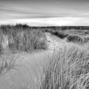 Papermoon Fototapete Landschaft schwarz & weiß