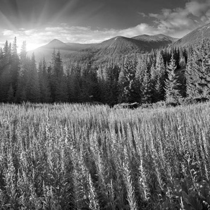 Papermoon Fototapete Landschaft Schwarz & Weiß