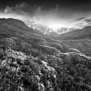 Papermoon Fototapete Landschaft Schwarz & Weiß