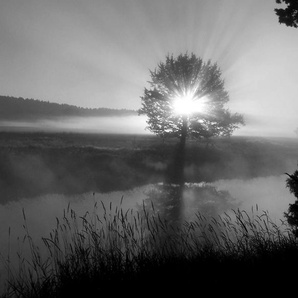 Papermoon Fototapete Landschaft schwarz & weiß