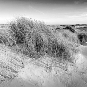 Papermoon Fototapete Landschaft schwarz & weiß