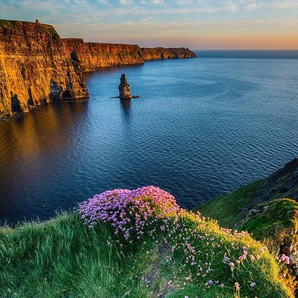 Papermoon Fototapete MOHER IRLAND-STRAND KLIPPEN KÜSTE BLUMEN MEER GEBIRGE