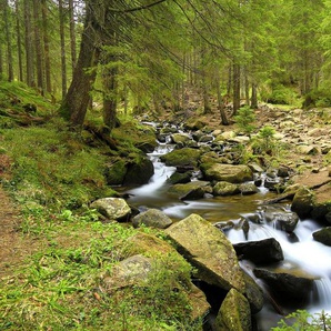 Papermoon Fototapete Mountain River, glatt