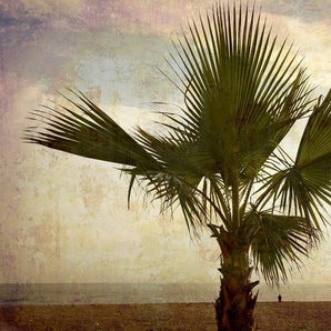 Papermoon Fototapete PALMEN-NATUR LANDSCHAFT STRAND MEER PALME BÄUME BAUM