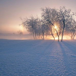 Papermoon Fototapete Photo-Art BINGO Z, SCHNEELANDSCHAFT IM WINTER