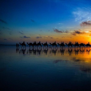 Papermoon Fototapete Photo-Art LOUISE WOLBERS, SUNSET CAMEL RIDE