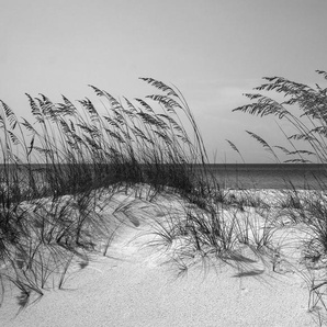 Papermoon Fototapete Strand Schwarz & Weiß