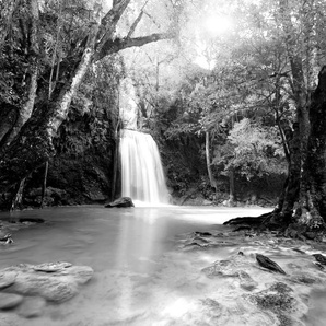 Papermoon Fototapete Wasserfall im Wald Schwarz & Weiß