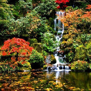 Papermoon Fototapete Wasserfall in Japanischen garten