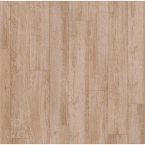 Parador Laminatboden Laminat Basic 400, Holzwerkstoff, 19.4x0.8x128.5 cm, für Fußbodenheizung geeignet, auf unebenen Untergründen verlegbar, Teppiche & Böden, Bodenbeläge, Laminat