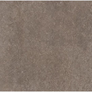 Parador Laminatboden Laminat Trendtime 5, Holzwerkstoff, 40x0.8x85.3 cm, abriebbeständig, antistatisch, für Fußbodenheizung geeignet, auf unebenen Untergründen verlegbar, Teppiche & Böden, Bodenbeläge, Laminat