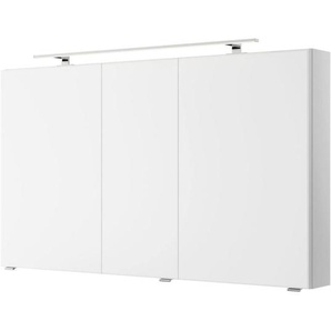 Pelipal Spiegelschrank Serie 4035, Metall, 6 Fächer, 120x70.3x14.5 cm, Made in Germany, Typenauswahl, Badezimmer, Badezimmerspiegel, Spiegelschränke