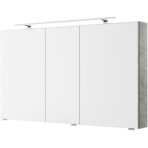 Pelipal Spiegelschrank Serie 4035, Metall, 6 Fächer, 120x70.3x14.5 cm, Made in Germany, Typenauswahl, Badezimmer, Badezimmerspiegel, Spiegelschränke